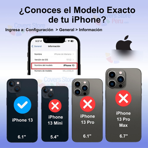 Funda Para iPhone 13 Magsafe Flower Hortensia