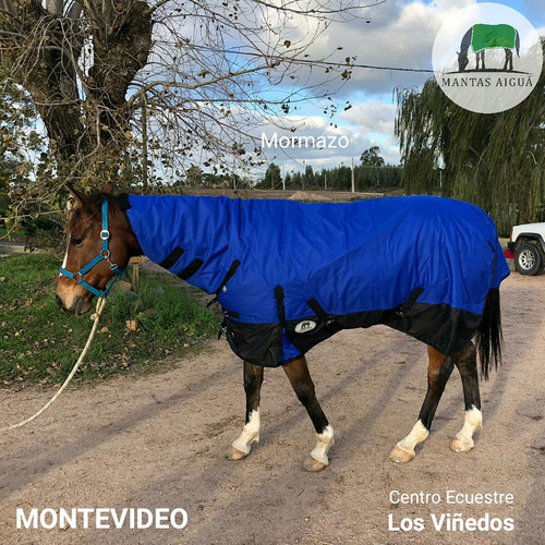 Imagen 5 de 10 de Manta Capa Caballo Importada (descuento Vta. Directa)