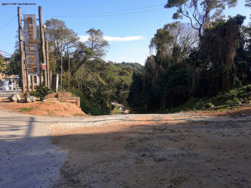Imagem 7 de 15 de Terreno Para Venda Em Mairiporã, Jardim Sabambaia - 8063yg_1-1599393