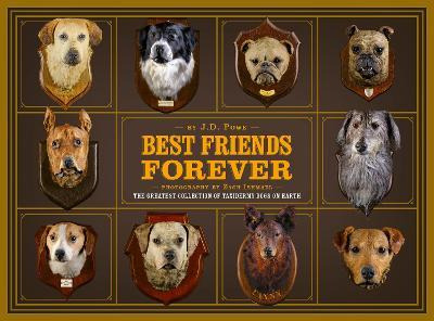Libro Best Friends Forever: The Greatest Collection Of Ta...