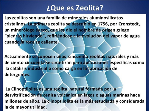 Imagen 4 de 6 de Sustrato Para Bonsái. Sustituto. 1l.