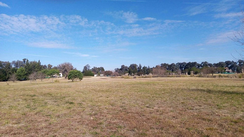 Imagen 3 de 18 de Lote En Venta En Pilar (country Con Golf)