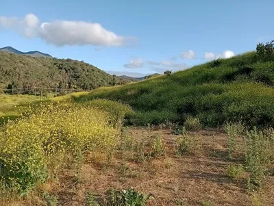 Agrícola en venta