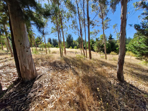 Parcela Ideal Para Cultivo Y Descanso (132446)