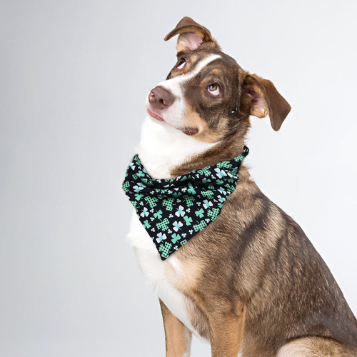 Bufanda Triangular Multiusos Con Estampado De Diadema Para M