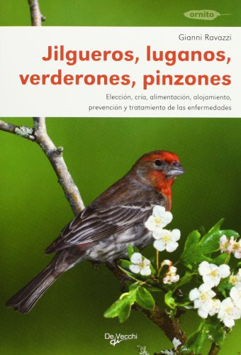 Libro Jilgueros Luganos Verderones Pinzones Animales En Casa