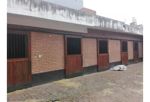 Imagen 5 de 21 de Lote Para Prendimiento O Stud