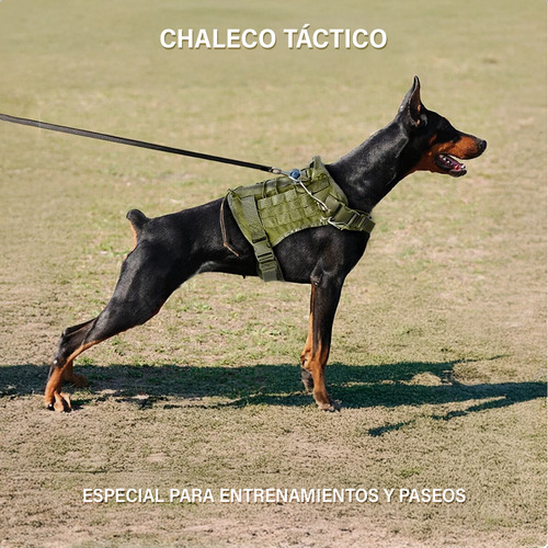 Chaleco Reforzado Perros Arnés Táctico Pretal Regulable