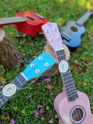 Imagen 8 de 10 de Ukelele Soprano Dy Cuerdas Aquila Funda *músico Profesional*