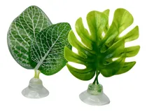 Comprar Cama P\u002F Peixe Betta Folha Descanso Aquário E Beteira Plantas