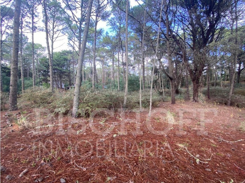 Lote En Carilo Barrio Zorzal Con Proyecto Y Planos Aprobados