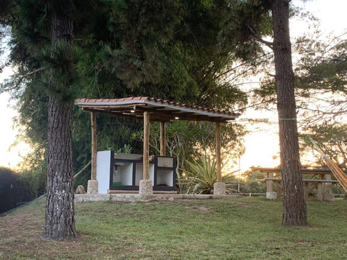 Imagen 21 de 26 de Adriana Castellanos Vende De Imponente Finca En Aguirre, Montalban 5 Ha 8.473 M2 Dedicada A Diversas Actividades, Cod 148398