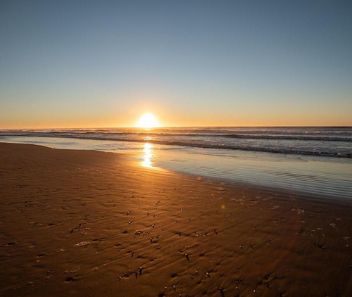 Lote En Venta Zona Alamos- Pinamar (deriva E/ Alamos Y De Las Garzas)