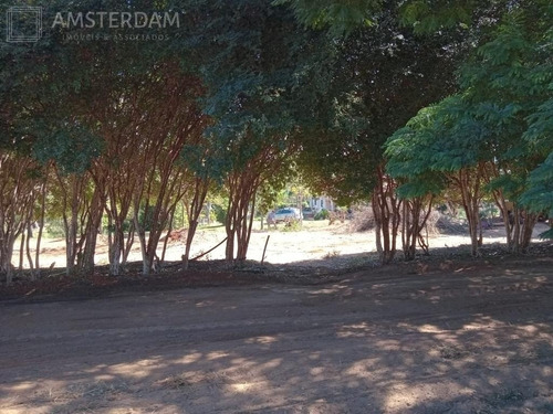 Imagem 16 de 30 de Sitio A Venda Em Limeira - St00005 - 69551023