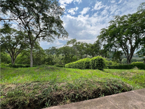 Venta Lote Km 41 Palestina | Lote Barato En Venta