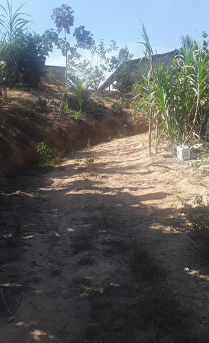Chácara Em Jaguaraçu (vale Do Aço)