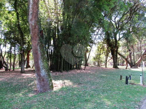 Imagem 25 de 27 de Loteamento-são Paulo-alto Da Boa Vista | Ref.: Reo27946 - Reo27946