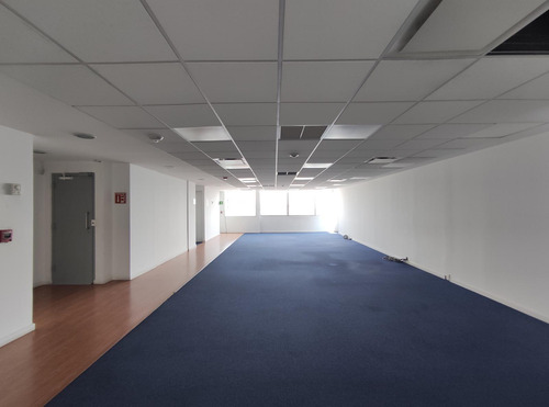 Oficina En Renta -reforma Piso 10- 214 M2