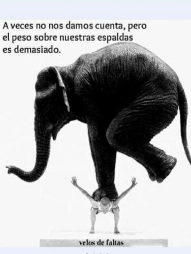 Imagen 4 de 6 de Psicóloga Y Sexóloga Presencial/ Online