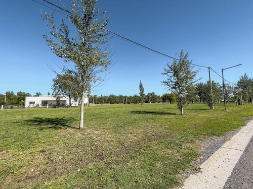 Imagen 5 de 21 de Lote Con Amenities De 440 M2 En Pinares Del Sur