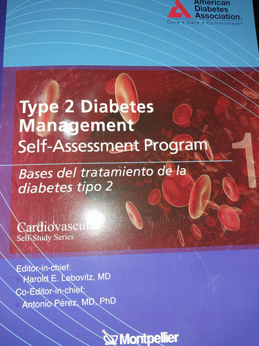 Bases Del Tratamiento De La Diabetes Tipo 2 E1