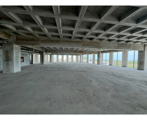 Oficinas En Renta Corporativo Cancun Uno Av Tulum Renta