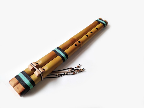Flauta Nativa Americana(naf) Dupla (drone) De Bambu In D# 