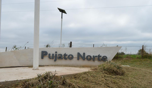 Imagen 20 de 24 de Terreno - Pujato Norte