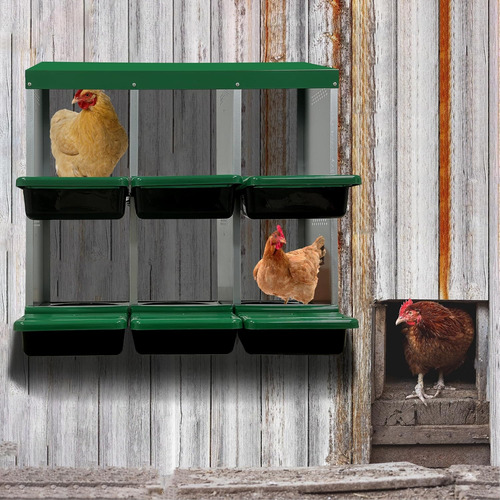 Caja Nido De Pollos 6 Compartimentos Gallinas Y Huevos