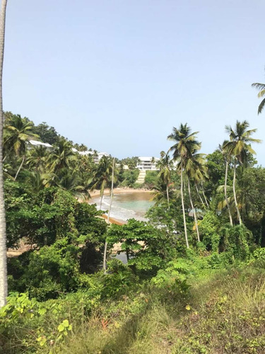 Terrenos En Samana Con Playa