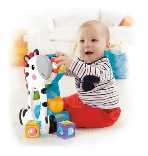 Brinquedo De Encaixar Zebra Blocos Surpresa Fisher Price Cgn