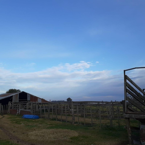 Imagen 2 de 12 de Granja Avícola Ganadera En Venta
