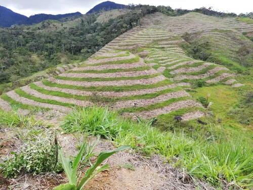 Vendo Finca