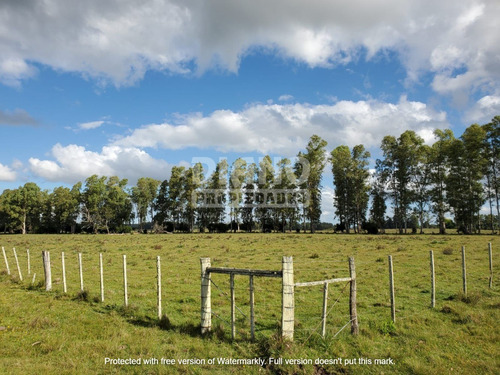 Campo En Ruta 8 - Marmarajá - Lavalleja
