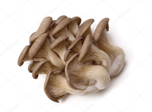 Gírgolas - 1 Kg