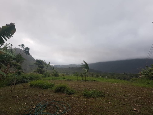 Imagen 9 de 15 de Se Vende Finca En Caripe-monagas Ve01-0435ca-lriv