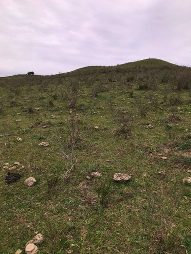 Campo De 16 Hectáreas, A 14 Kms De San Jacinto