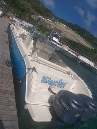 Lanchas Promarine 33 #146