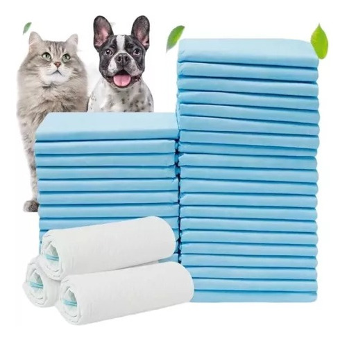 100 Pañales Entrenadores Absorbentes Para Mascotas S 33*45cm