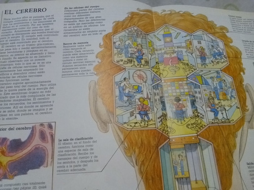 Cómo Funciona Nuestro Cuerpo De S. Parker (1992) - Martínez (Usado)