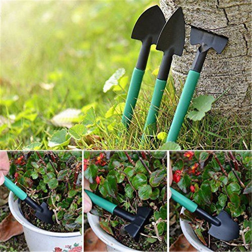 Set De Herramientas De Jardinería Para Suculentas, 10 Piezas