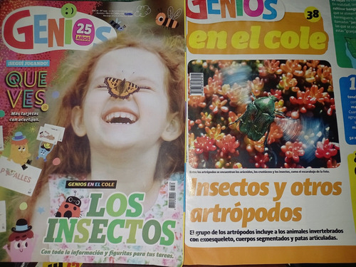 Genios Revistas X 6 Desde 1336 Al 1341