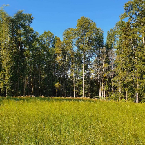 Parcelas A 15 Minutos De Frutillar 9 Millones De Descuento