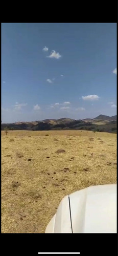 Imagem 4 de 13 de Fazenda Montada Pra Pecuária Município Unai
