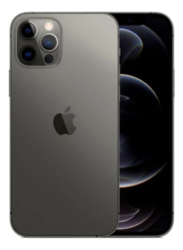iPhone 12 Pro (128gb) - Grafito (Usado)
