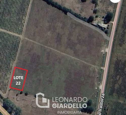 Lote 22 Viñas De Carmelo