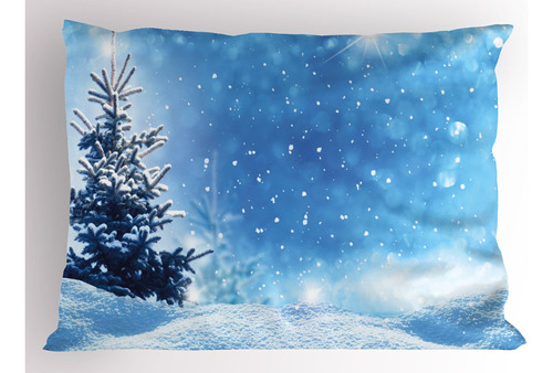 Ambesonne Funda De Almohada De Invierno, Representación De X