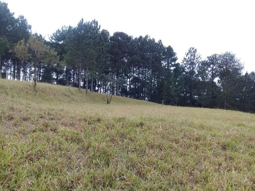 Imagem 5 de 18 de Terreno, Voturuna, Santana De Parnaíba - R$ 1.2 Mi, Cod: 235623 - V235623