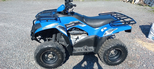 Kawasaki   Brute Force 300