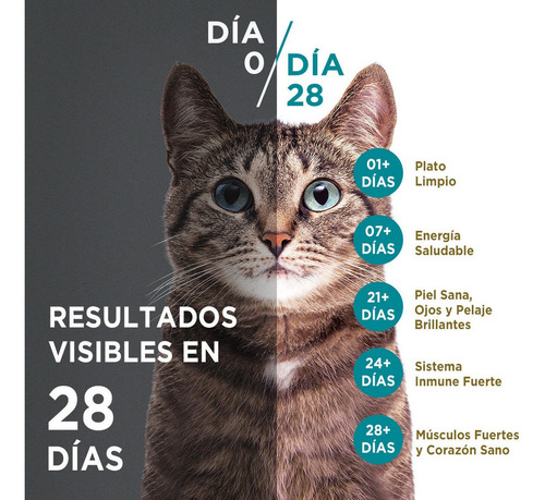 Imagen 4 de 7 de Alimento Para Gato Purina One Multi Proteínas Salmón 85g